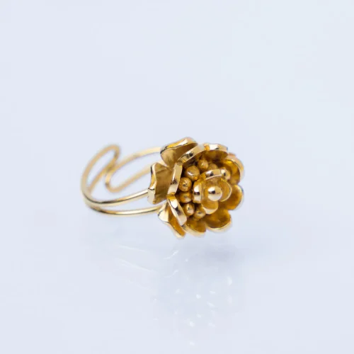 Anillo Elia - mariana arroyo