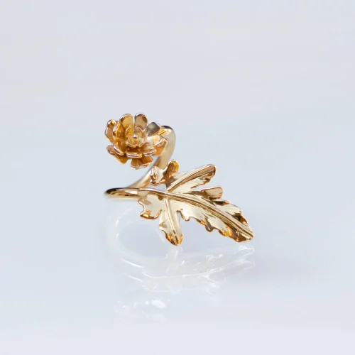 Anillo Ilia - mariana arroyo