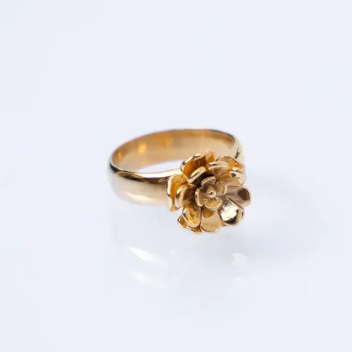 anillo-em-mariana_arroyo