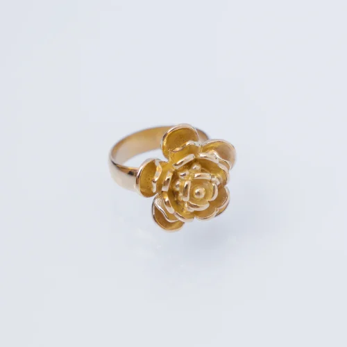 anillo-eme-basico-mariana_arroyo