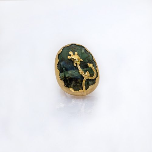 Laguna mariana arroyo ring
